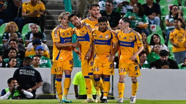Tigres 1